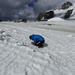 Guide Alpine alla ricerca delle pulci dei ghiacciai